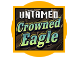 Untamed Crowned Eagle