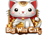 Big Win Cat